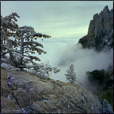 Схема вышивки «001»