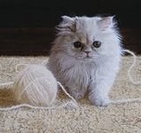 Схема вышивки «пушистые клубочки»