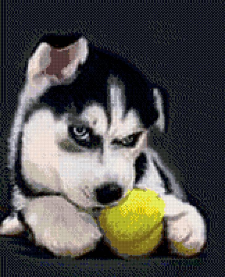 собака-помогака - собака, нитки, животные, рукоделие, клубок - предпросмотр