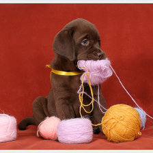 Схема вышивки «собачка»