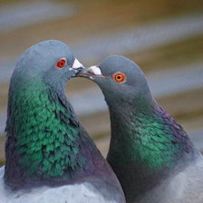 Схема вышивки «Любовь»