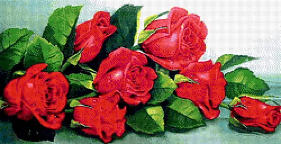 Розы красные - букет, розы, цветы - предпросмотр