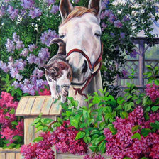 Схема вышивки «№803948»