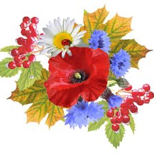 Схема вышивки «полевые цветы»