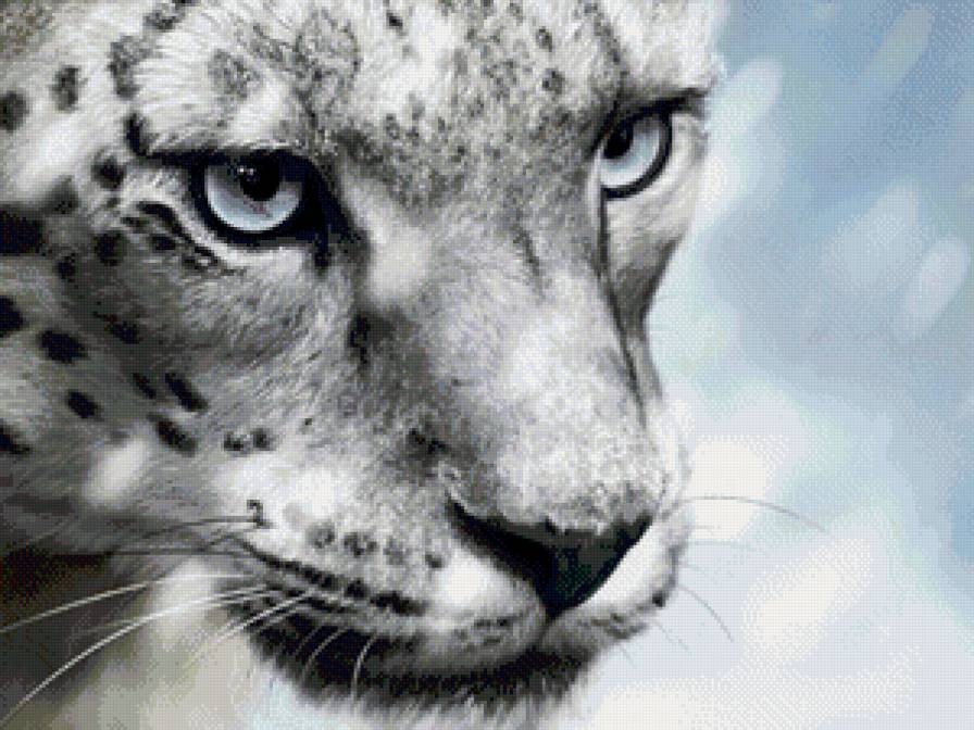 Барс - животные, барс - предпросмотр