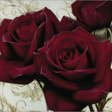 Схема вышивки «Розы»