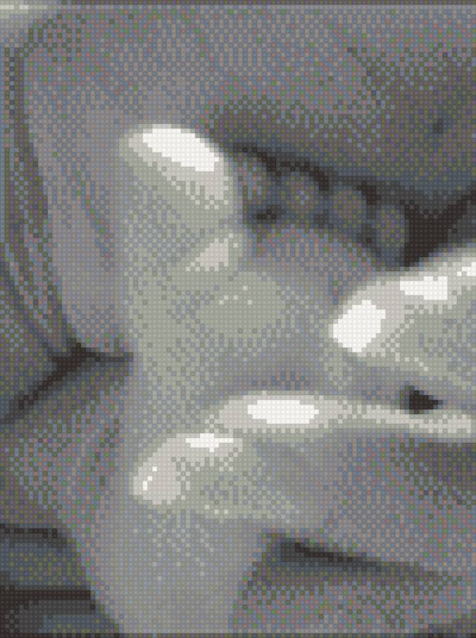 Ножка - черно-белое, ребенок, радость, ножка - предпросмотр