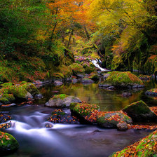 Схема вышивки «лесная река»