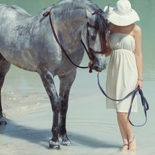 девушка и лошадь