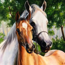 Схема вышивки «Прекрасные создания»