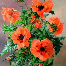 Схема вышивки «серия "маки"»