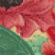 Предпросмотр схемы вышивки «серия "маки"» (№804808)