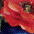 Предпросмотр схемы вышивки «серия "маки"» (№804813)