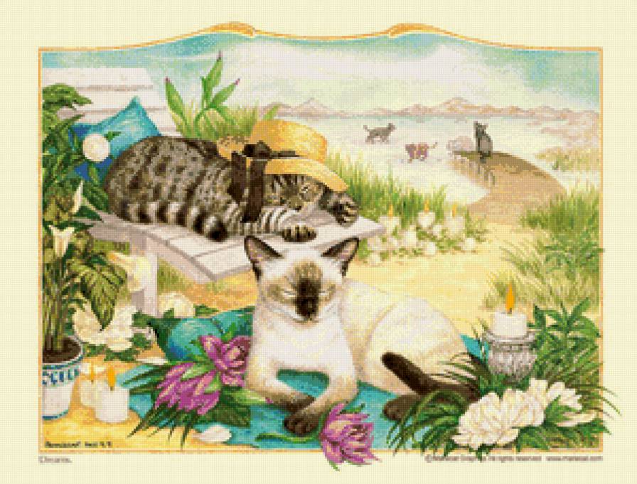 любимчики - котики, коты - предпросмотр