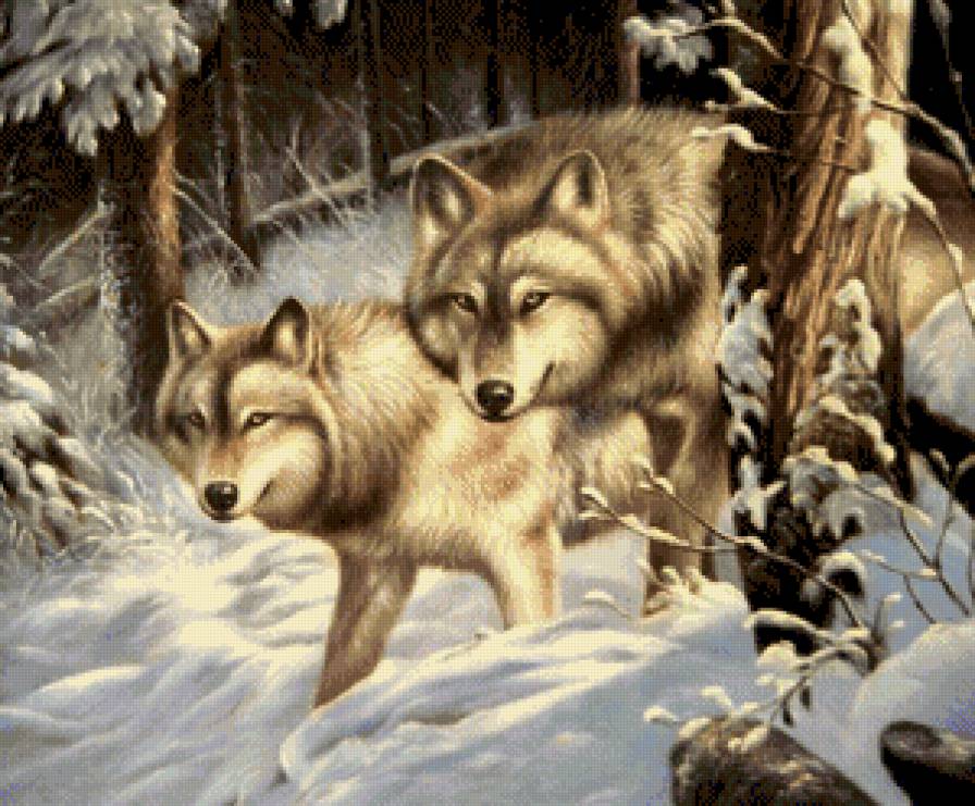 №804937 - предпросмотр