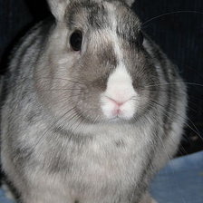 Схема вышивки «Зайка Пушистик»