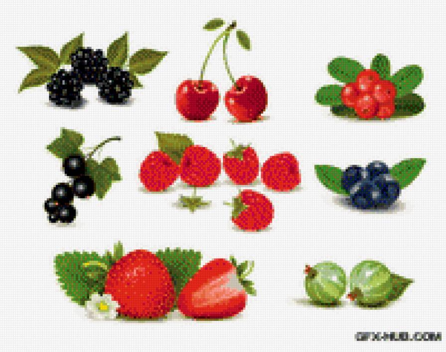 ягоды - ягоды - предпросмотр