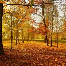 Схема вышивки «осень»