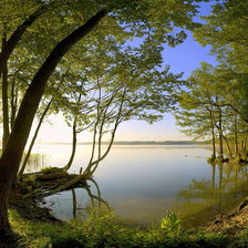 Схема вышивки «раннее утро»