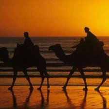 Схема вышивки «караван»