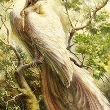 Схема вышивки «Гамаюн»