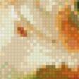 Предпросмотр схемы вышивки «Огненная» (№805748)