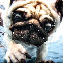 Схема вышивки «плавание»