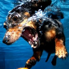 Схема вышивки «плавание»