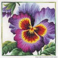 Схема вышивки «анютина глазка»