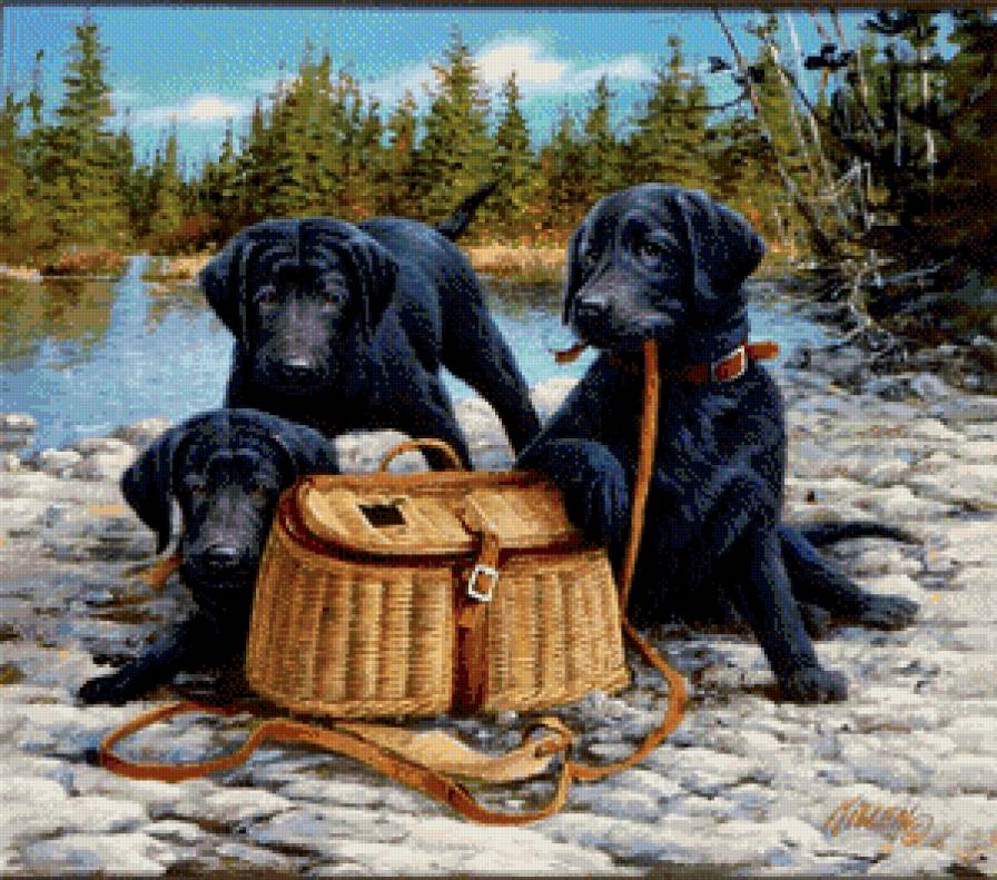 пикник - животные, щенки, картина, собака - предпросмотр