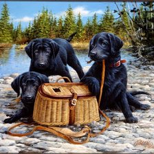 Схема вышивки «пикник»