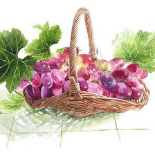 Схема вышивки «корзина с виноградом»