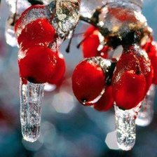 Схема вышивки «капель»