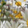 Предпросмотр схемы вышивки «ромашки» (№806402)