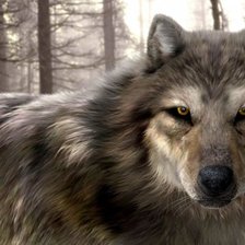 Схема вышивки «волки»