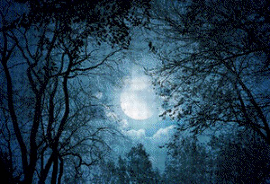 Осіння ніч - предпросмотр