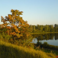 Схема вышивки «Осень»