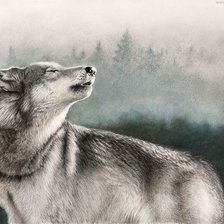 Схема вышивки «волки»