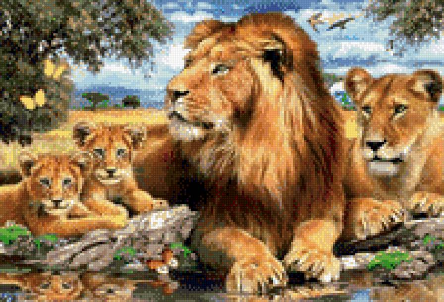 Львиная семья - предпросмотр