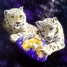 Схема вышивки «мир животных»