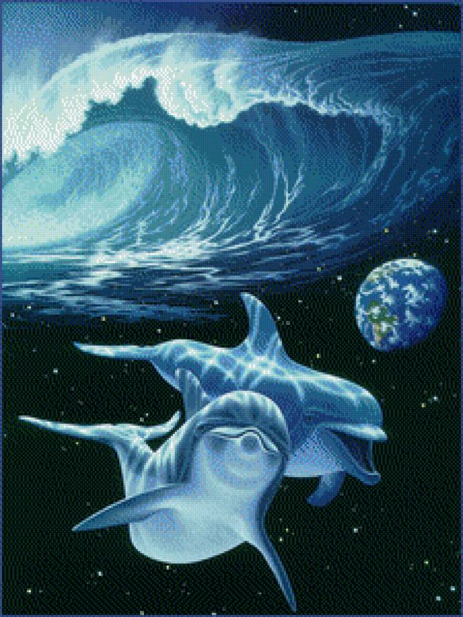 дельфины - предпросмотр