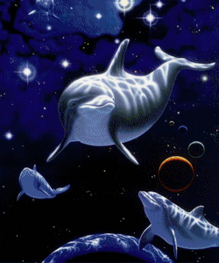 дельфины 2 - предпросмотр