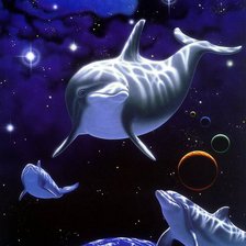 Схема вышивки «дельфины 2»