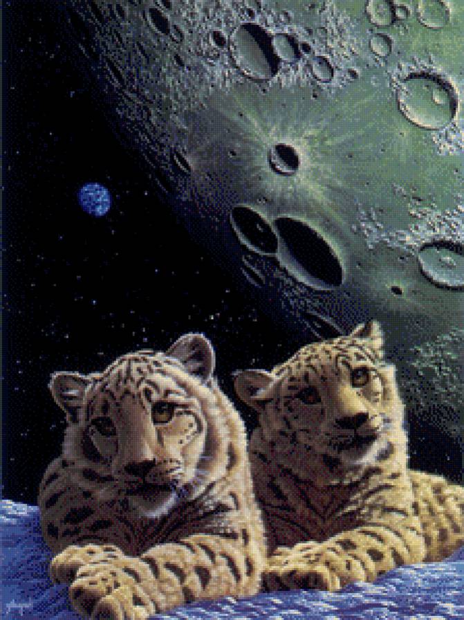 мир животных - предпросмотр