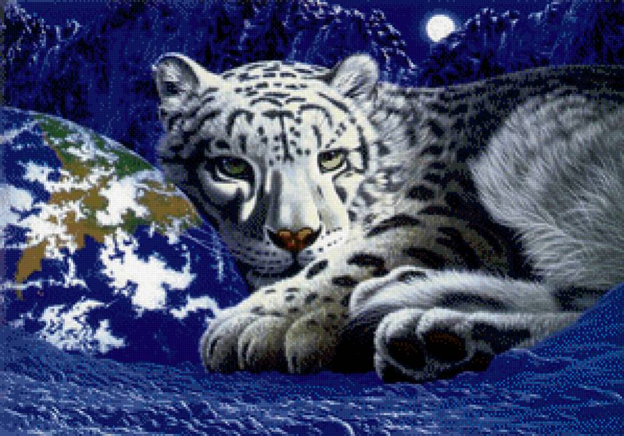 мир животных - предпросмотр