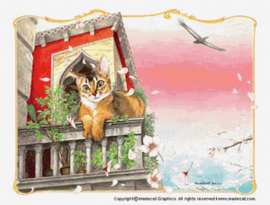 любимчик - кот, коты, котики - предпросмотр