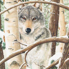 Схема вышивки «№806711»