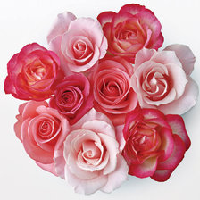 Схема вышивки «подушка»