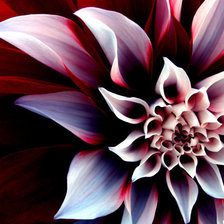 Схема вышивки «подушка»