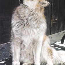 Схема вышивки «№806907»